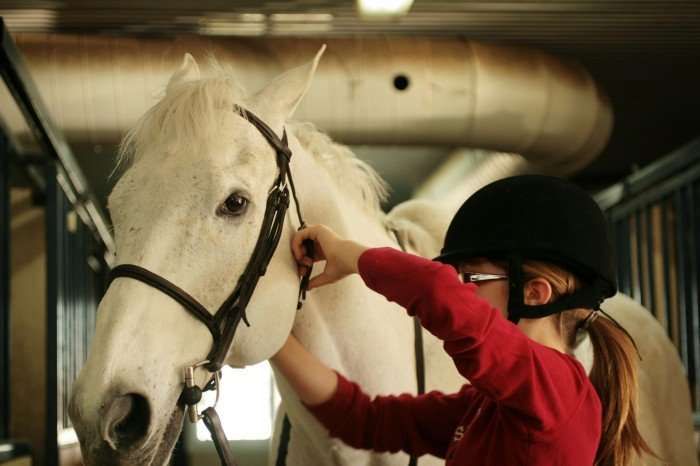 5 trucs de cavalier qu'on galère à faire