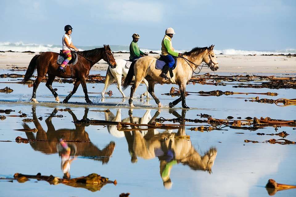 10 types de vacanciers à cheval