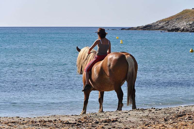 5 trucs relous en vacances à cheval