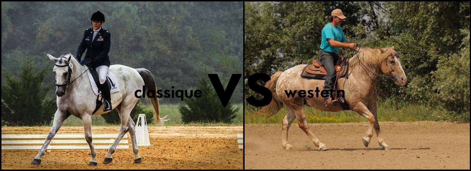 Equitation classique vs western : le choc des cultures